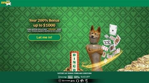 dingo casino sign up bonus